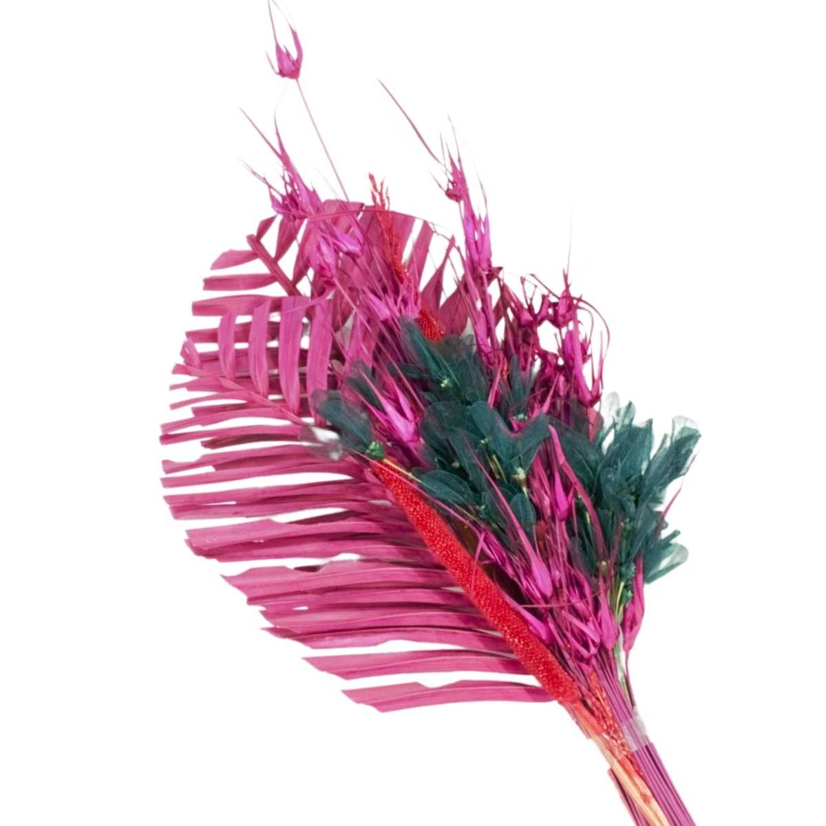 Planta Seca Buquê  Pitaya 60cm