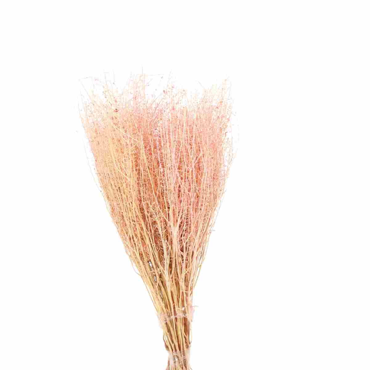 Buquê Sementinha Rosa