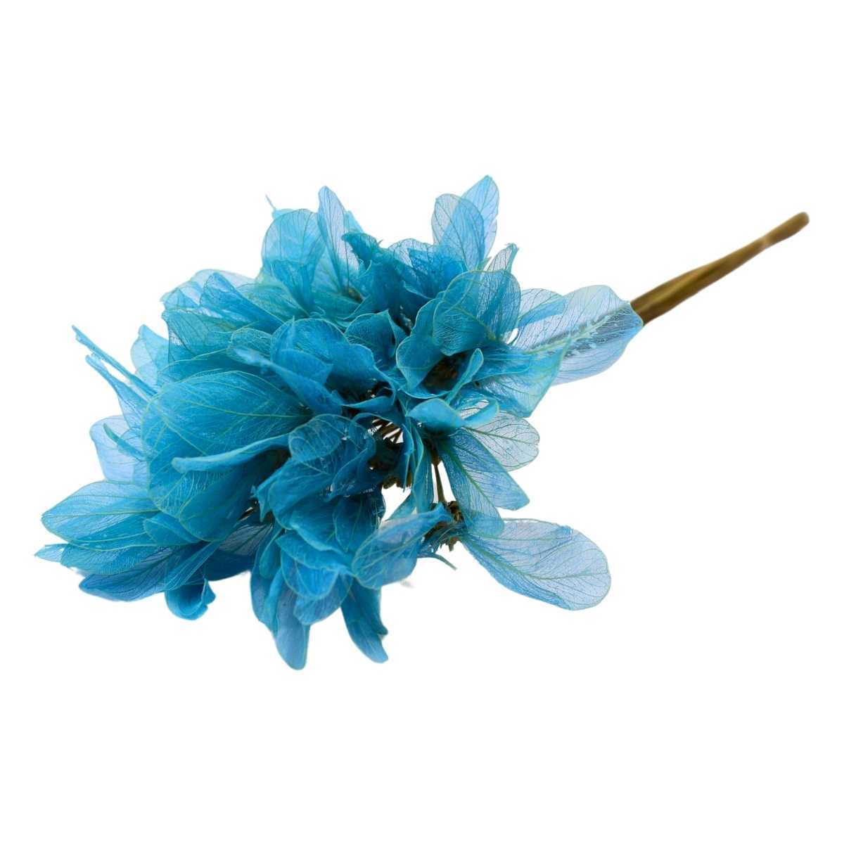 Planta Seca Folha Asa de Barata Azul Claro 50cm