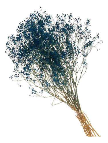 Gypsofila Azul Desidratado p/ Decoração