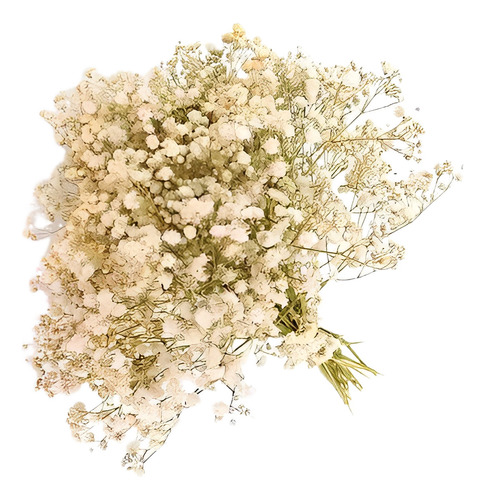 Gypsofila Natural Desidratado p/ Decoração