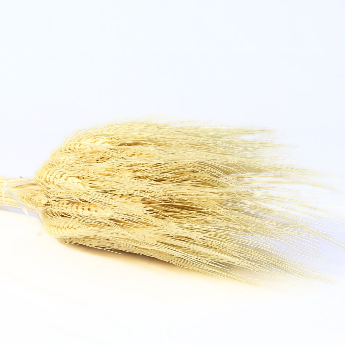 Planta Seca Trigo Colorido Bege 50cm
