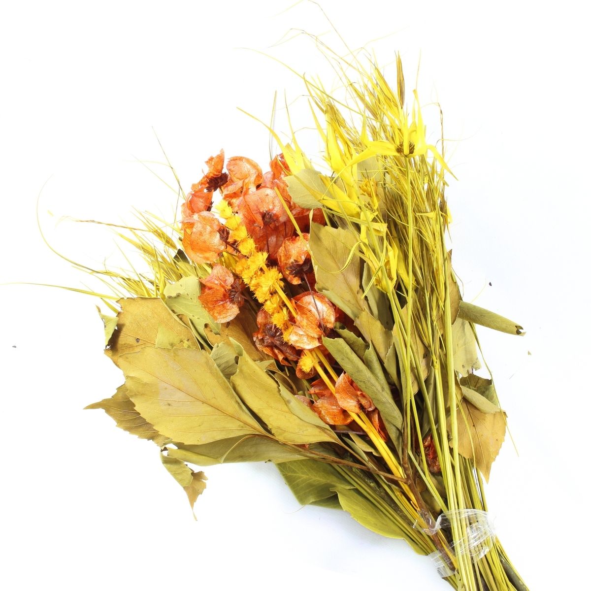 Planta Seca Buquê Variado Profetic Alegria 50cm