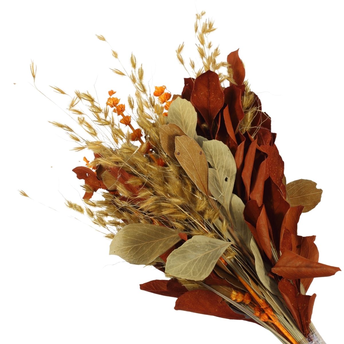 Planta Seca Buquê Variado Celosia Outono 40cm
