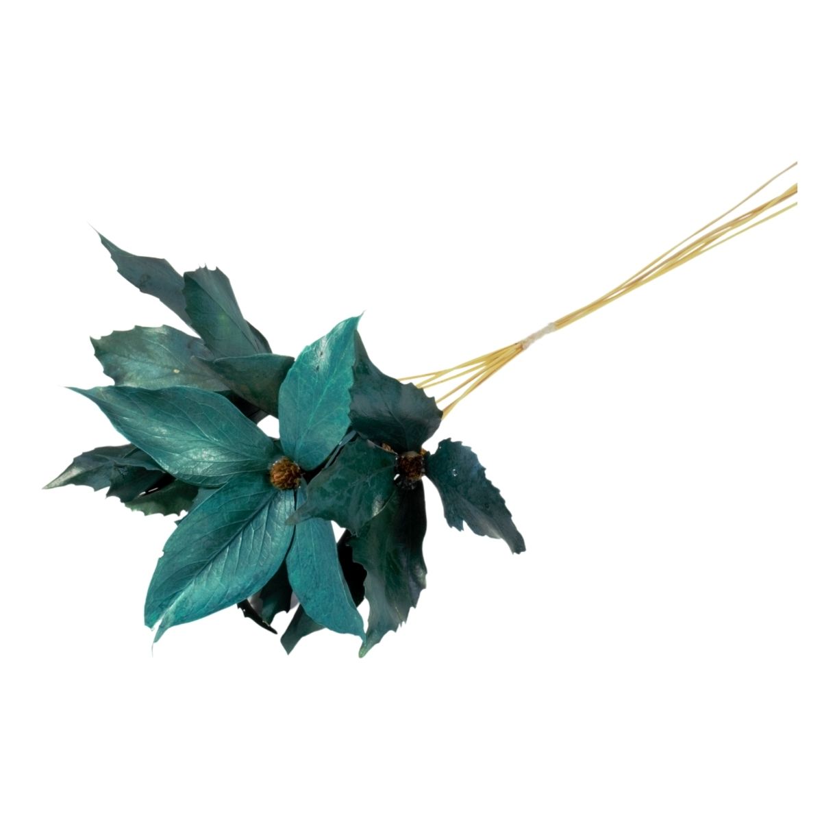 Planta Seca Flor de Carne de Vaca Verde Escuro 60cm