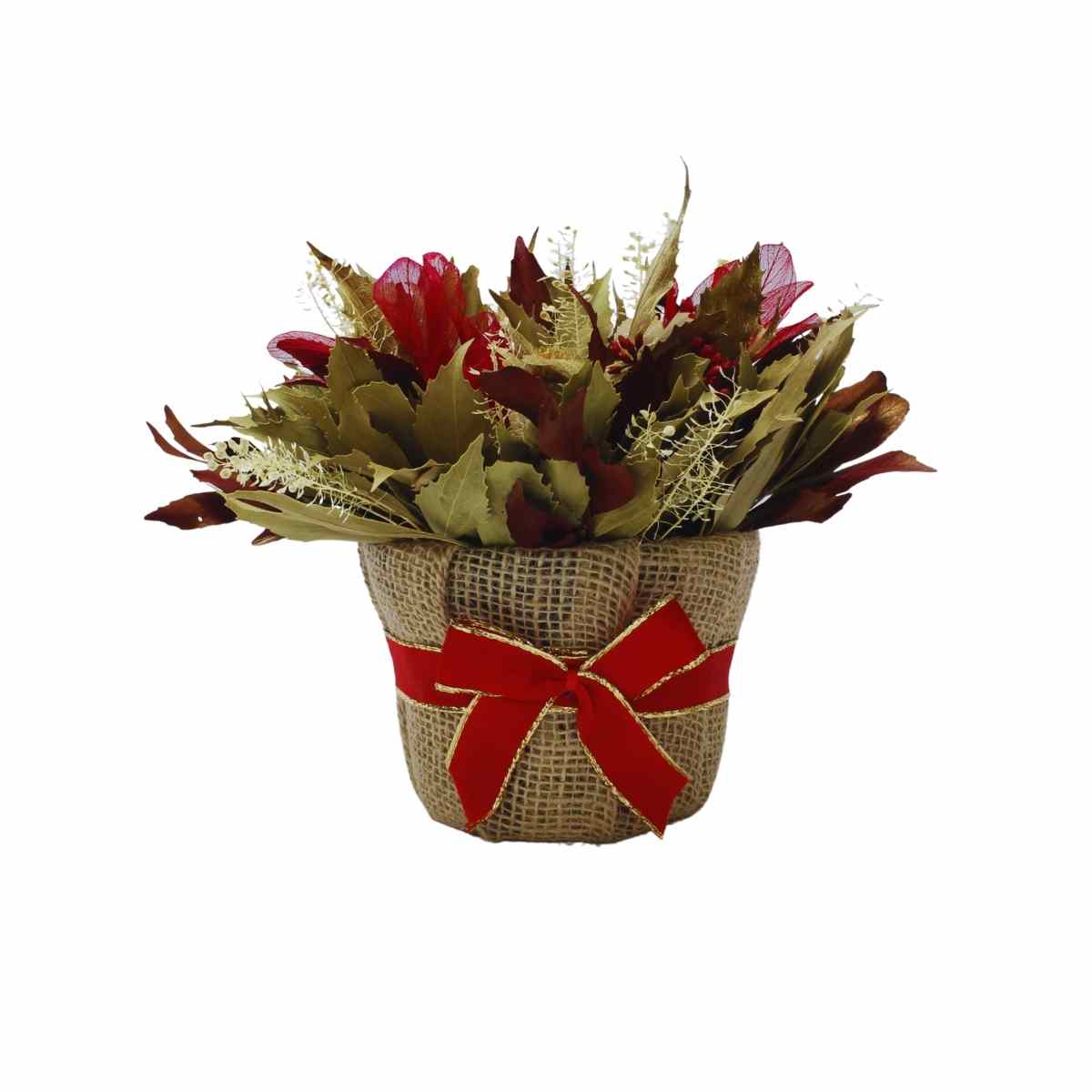 Arranjo em Cachepô Natal do Campo Vermelho M