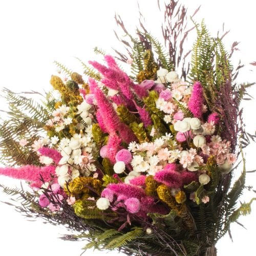 Buque de Flores Secas Rabo de Coelho Gato Rosa Decorar