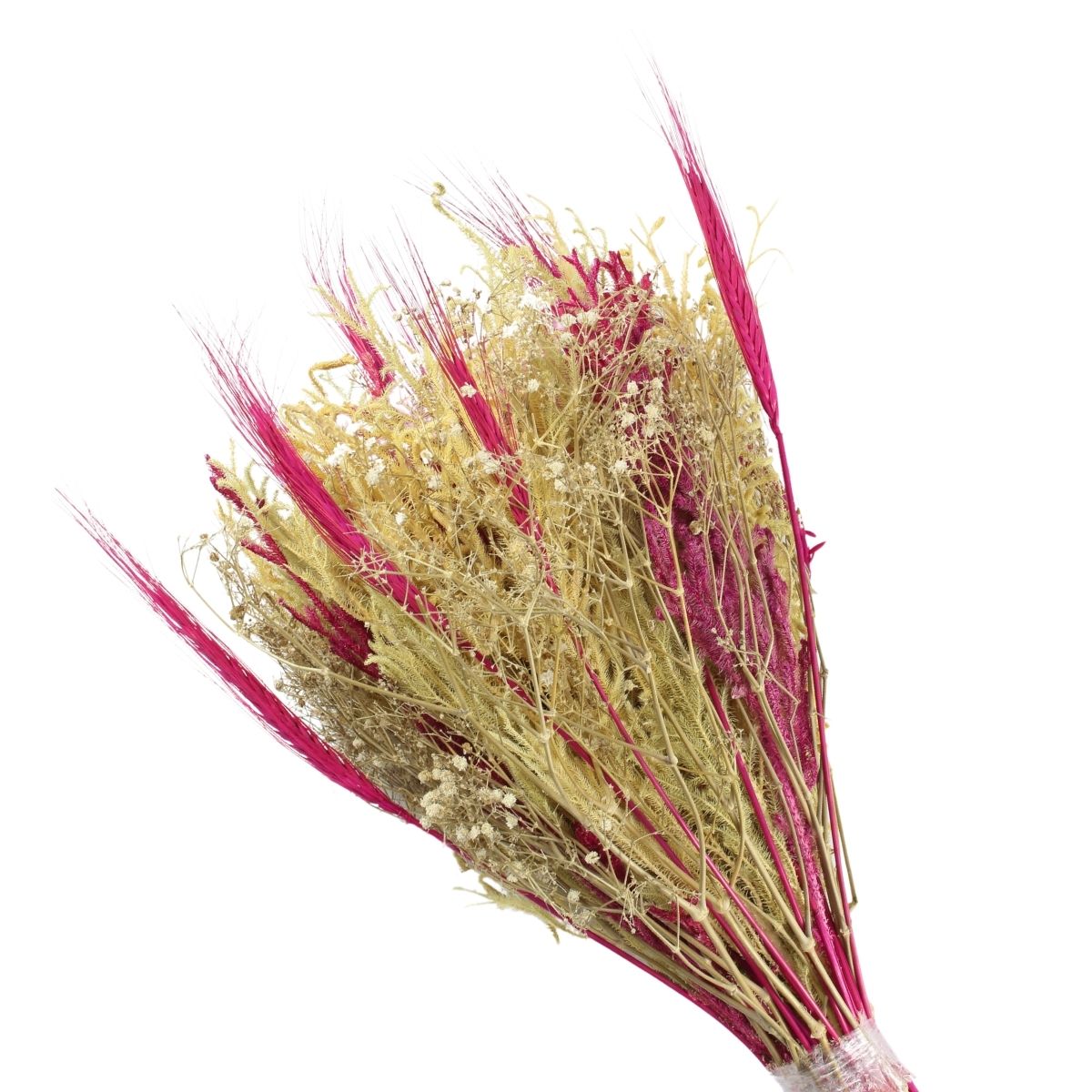 Planta Seca Buquê Variado Profetic Bondade 50cm