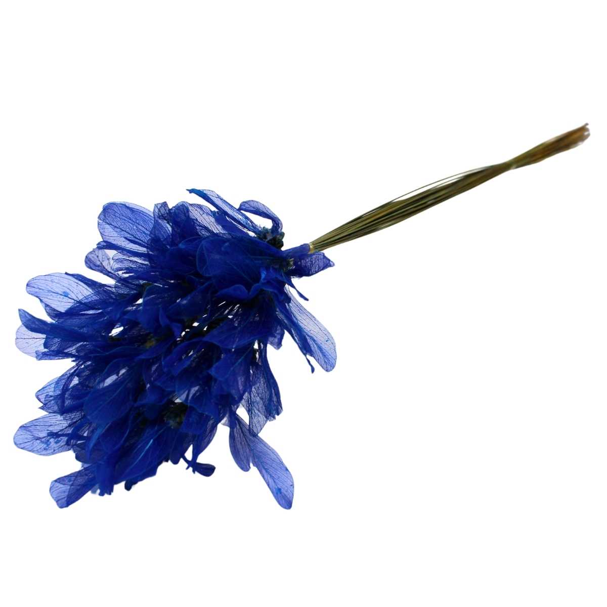 Planta Seca Folha Asa de Barata Azul Escuro 50cm