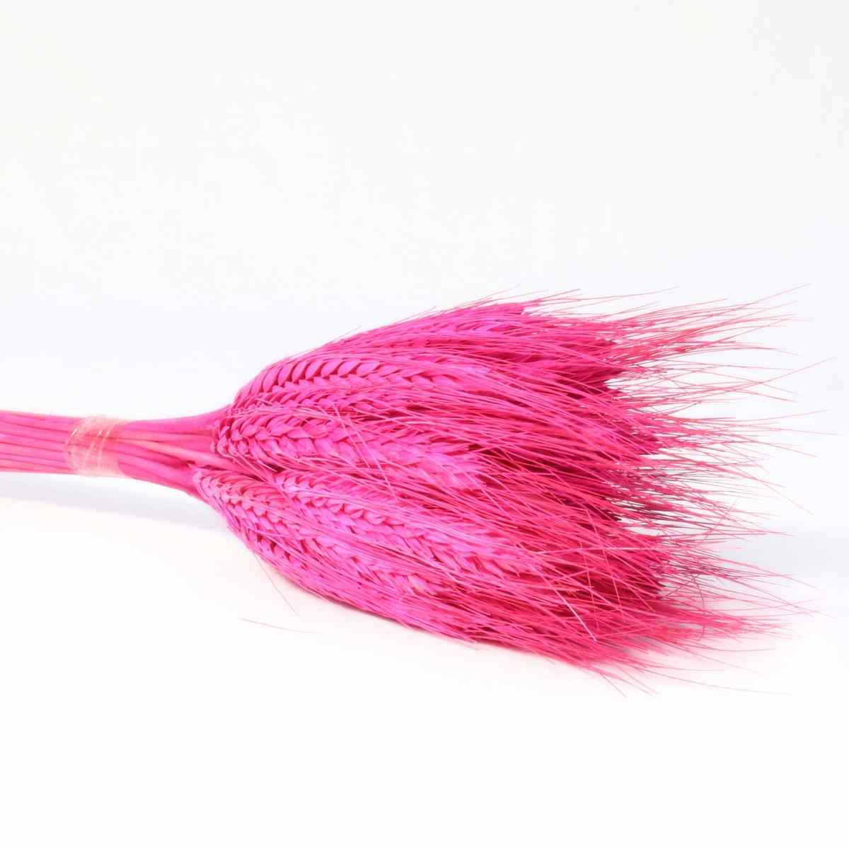 Planta Seca Trigo Colorido Rosa 50cm