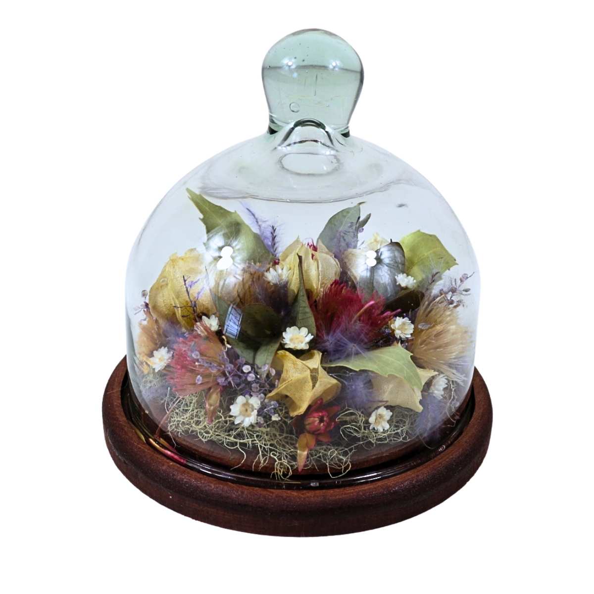 Arranjo Bougainville Encantado na Cúpula de Vidro Médio