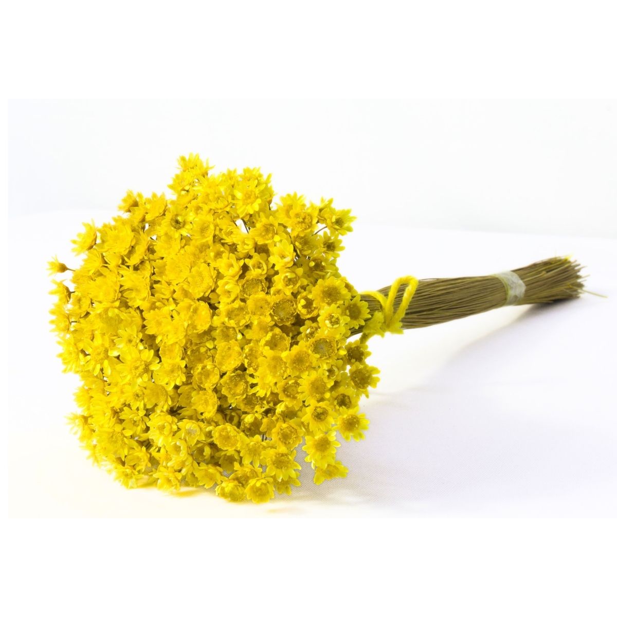 Planta Seca Sempre Viva Amarelo 30cm