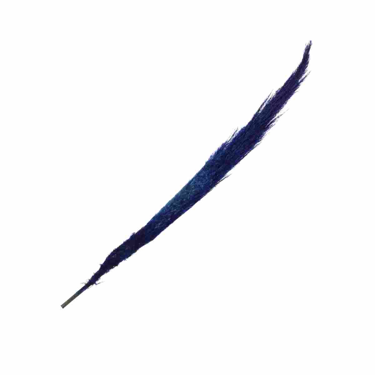 Capim Dos Pampas Azul