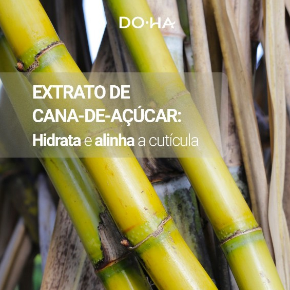 DOHA DAILY AMAZON SHAMPOO - HIDRATAÇÃO (PROFISSIONAL) 1.000ml