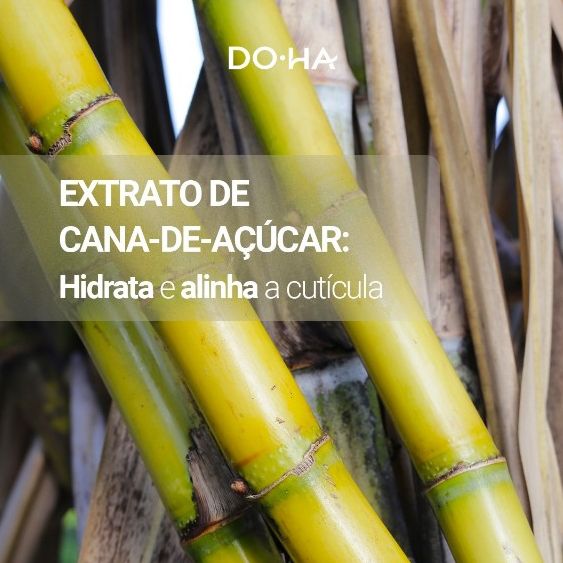 DOHA DAILY AMAZON MÁSCARA - HIDRATAÇÃO (PROFISSIONAL) 500ml