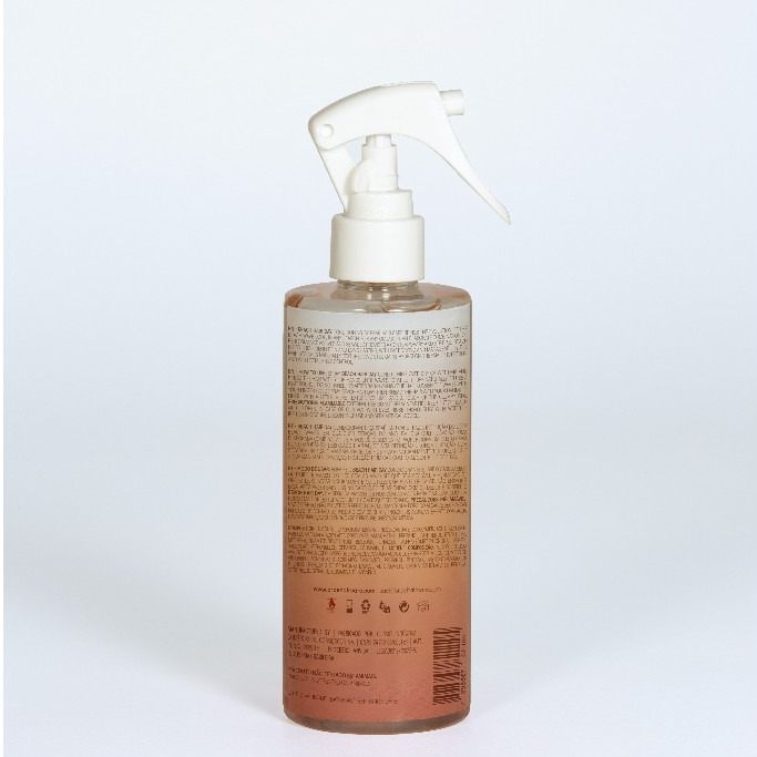 BRAÉ BEACH HAIR DAY CONDICIONANTE 260ml