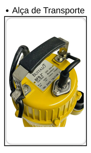 Bomba submersa 2 com boia  Buffalo 80324