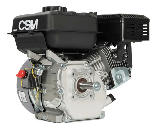 Motor 4 tempos cyclone C13E 13hp a gasolina partida eletrica 71000116 Csm