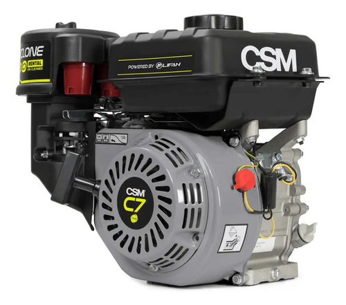 Motor 4 tempos cyclone C13E 13hp a gasolina partida eletrica 71000116 Csm