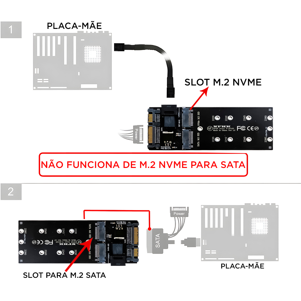 F2.jpg