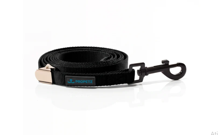 Guia De Nylon Propetz 60 Cm – Preta