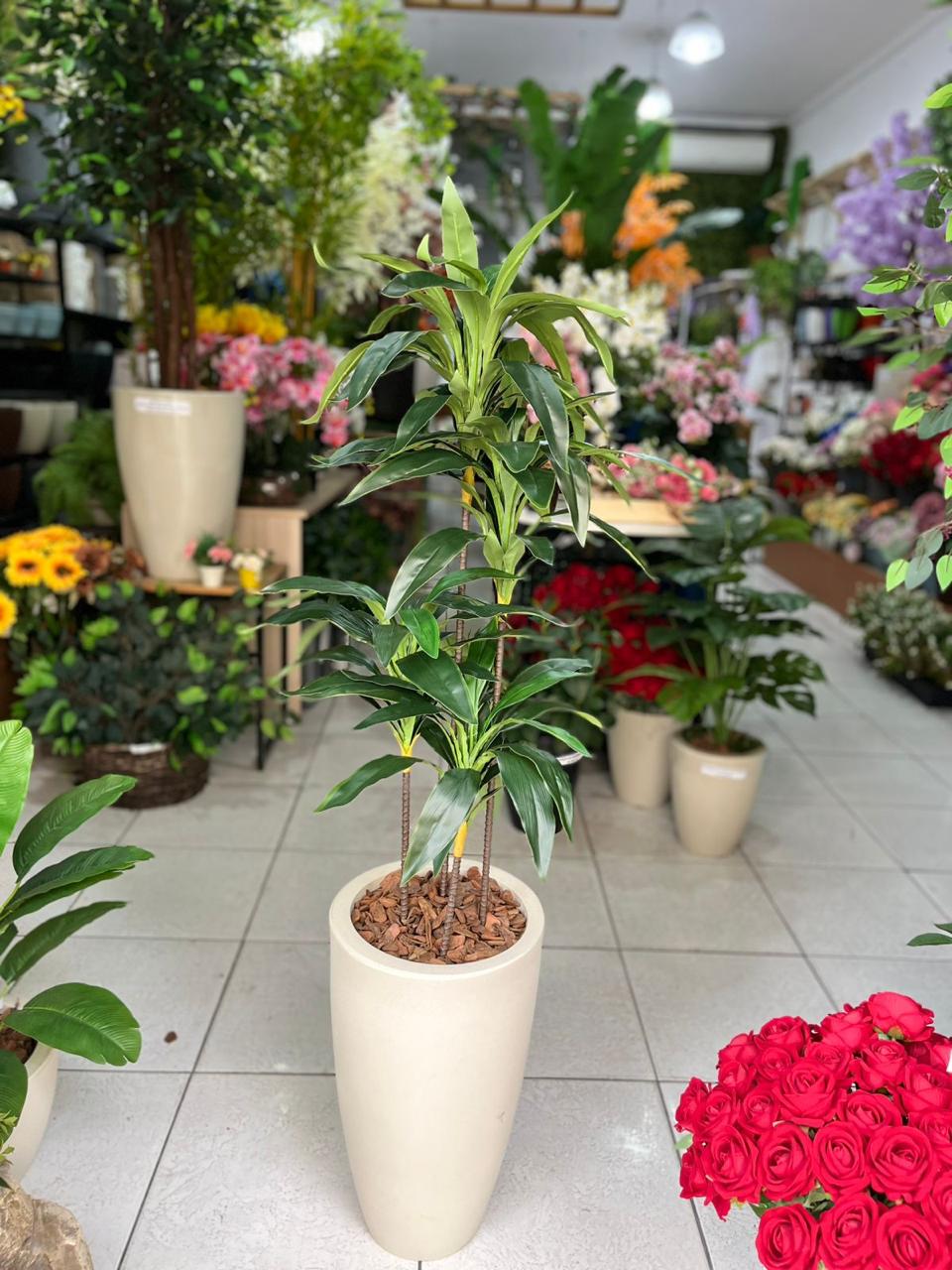 Árvore dracena completa com vaso, alt 1,40m