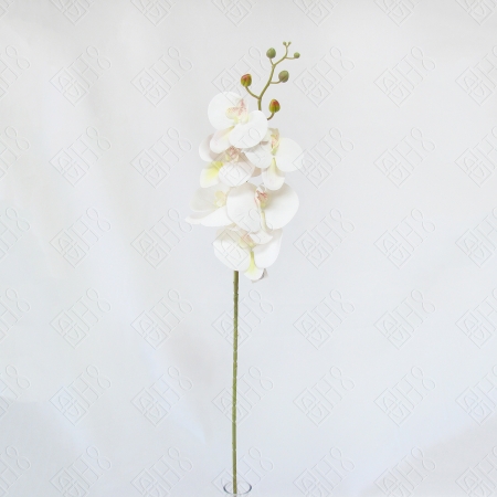 Haste de Orquídea 3D 90cm - Branca