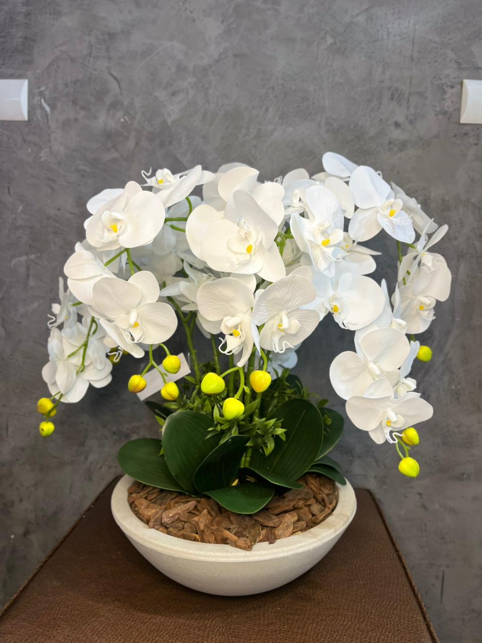 Orquídea alto padrão
