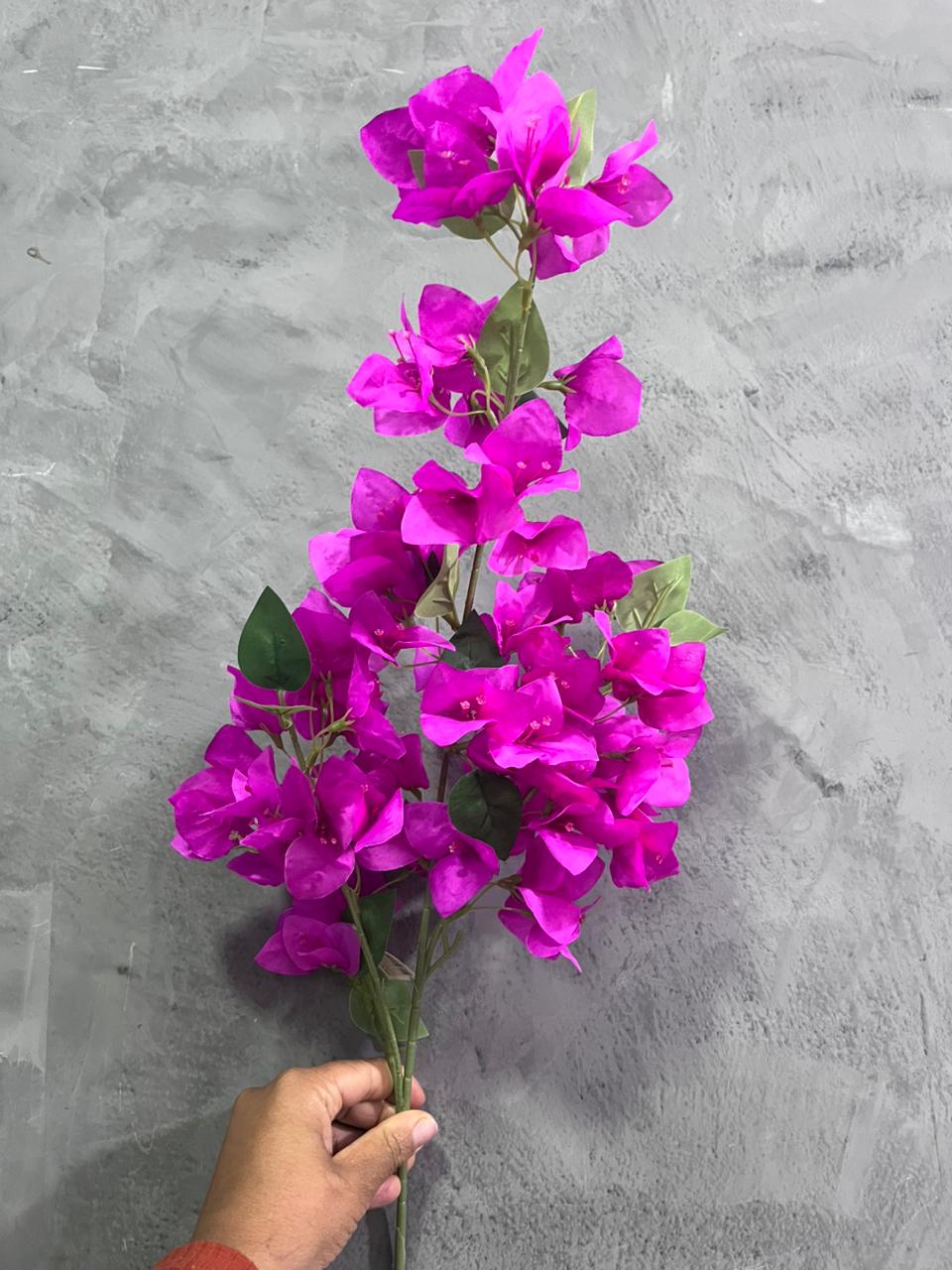 Galho de Primavera