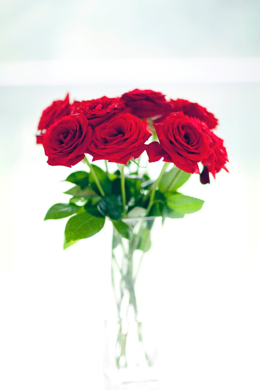 Buquê Rosa Aveludada 38cm - Vermelho