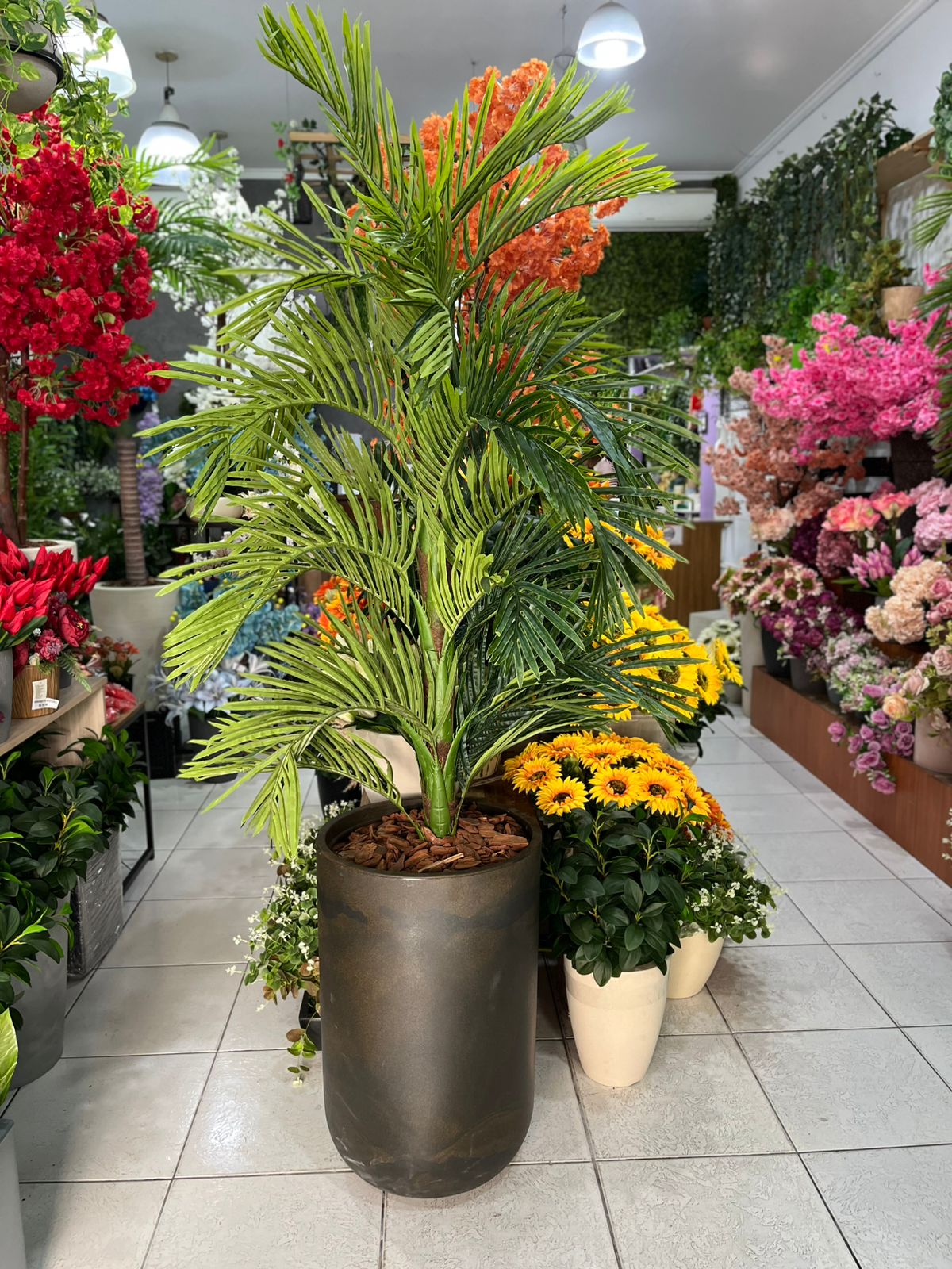 Palmeira com vaso