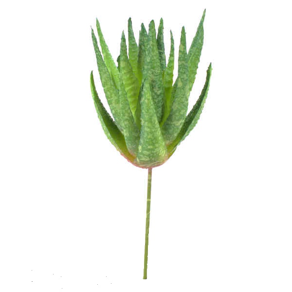 Suculenta Artificial Aloe 35cm