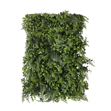 Placa de Samambaia 40x60