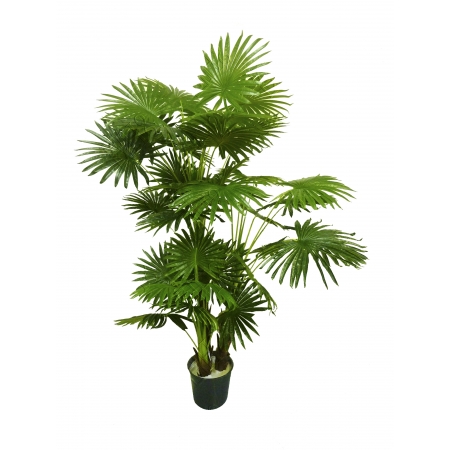 Árvore Palmeira Leque Artificial c/20 folhas 1,77m