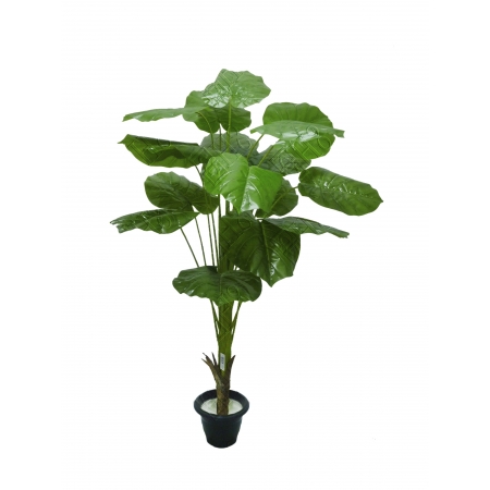 Árvore Comigo-Ninguém-Pode Artificial 90cm