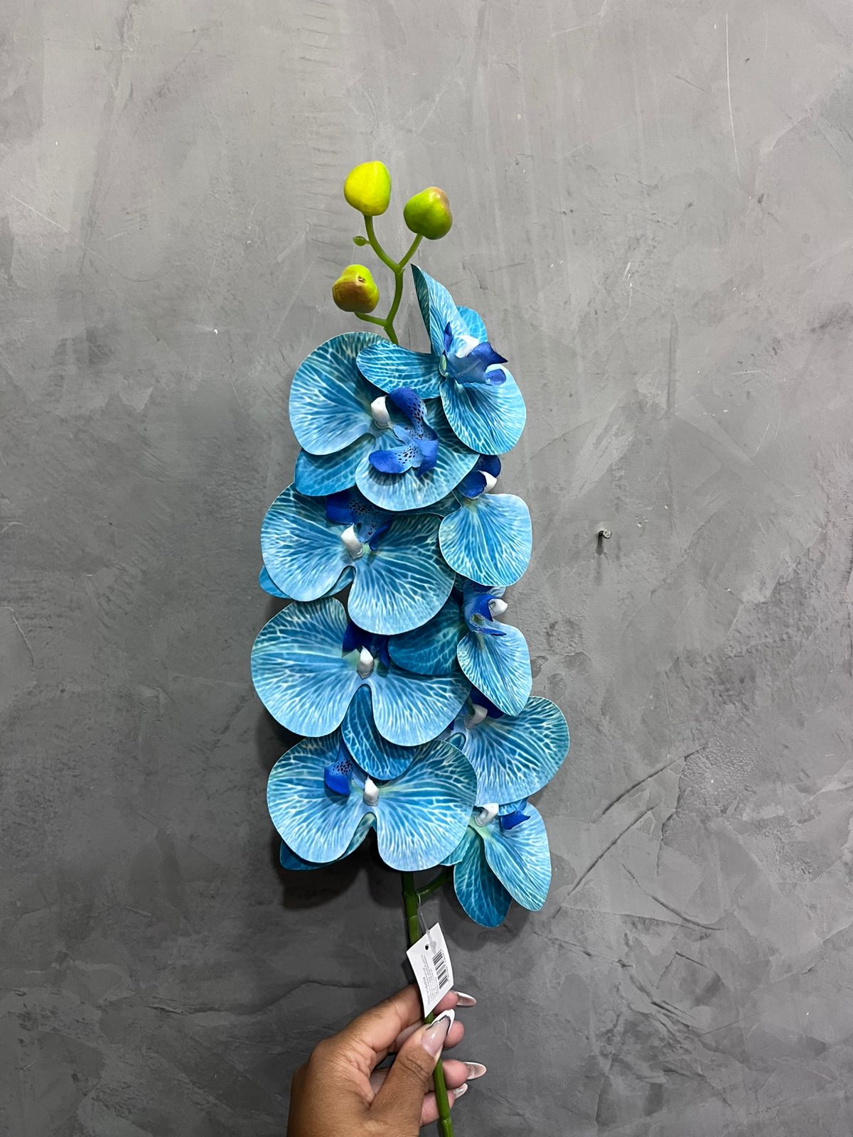 Haste de Orquídea Grande