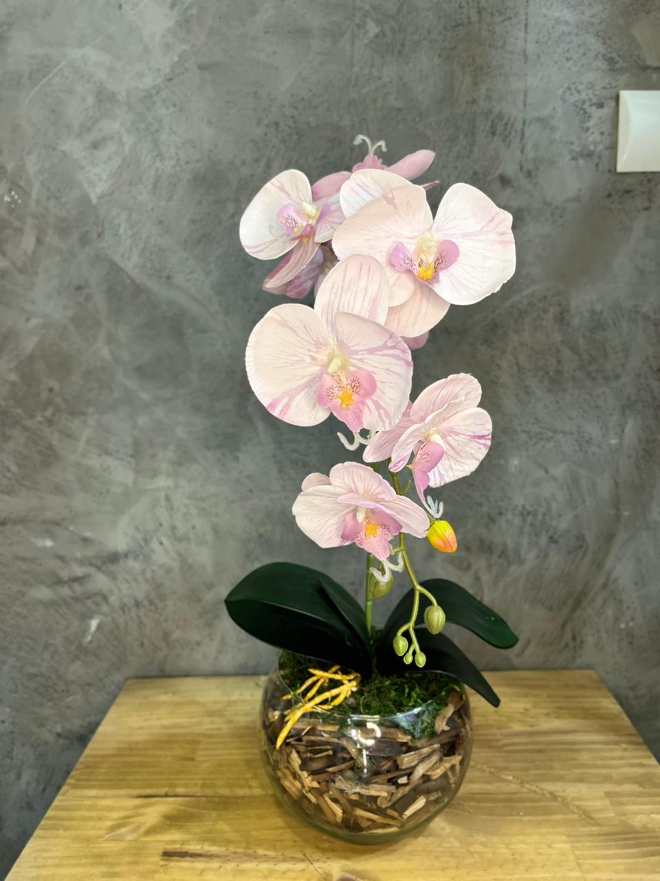 Arranjo de Orquídea 1 Haste Vaso Plástico
