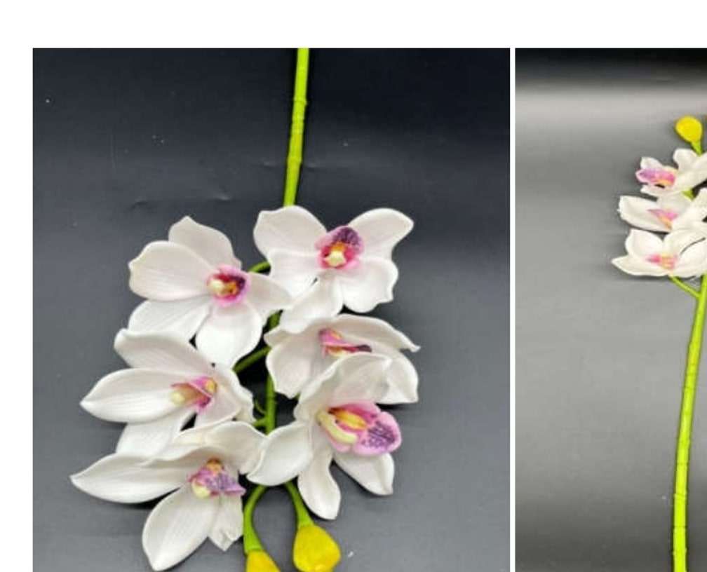 Haste de Orquídea Cymbidium EVA com