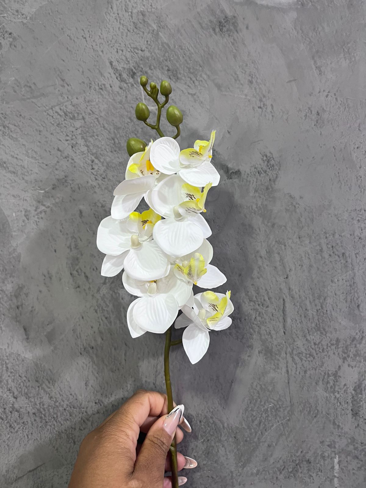 Haste de orquidea