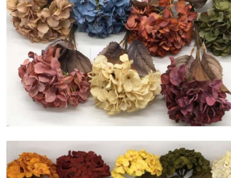 Haste De Hortensia Envelhecida