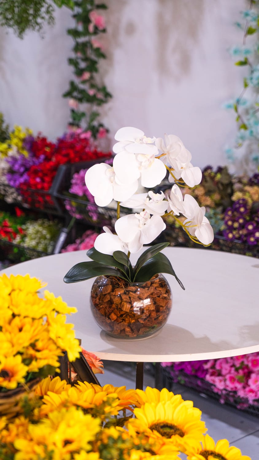 Orquídea Essencial em vidro ou cerâmica
