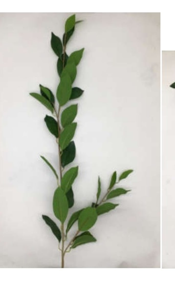 Haste de Fícus de Silicone Verde