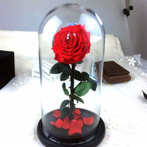 ENFEITE DE ROSA GERAL