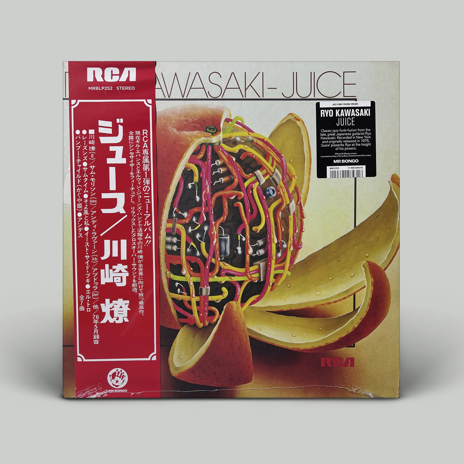 Ryo Kawasaki - Juice