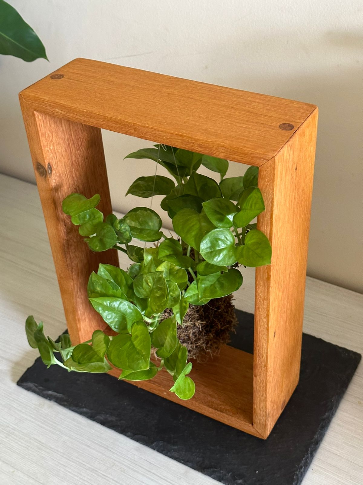 Kokedama Madrier