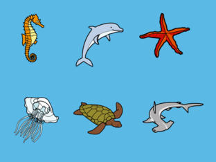 Adivina. quien soy by MARÍA