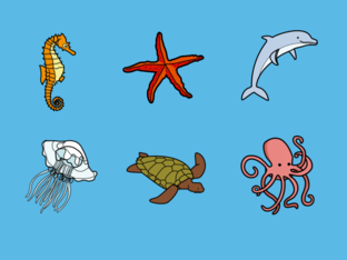 ¿Como me llamo? by MARÍA