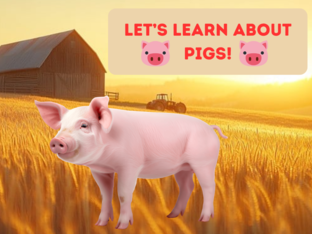 Let's Learn About Pigs by Erin
