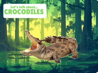 Let's talk about Crocodiles by Erin