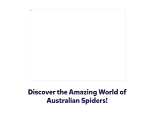 Spiders of Australia by Mitch